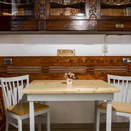 Lidia Apartamento Cluj-Napoca